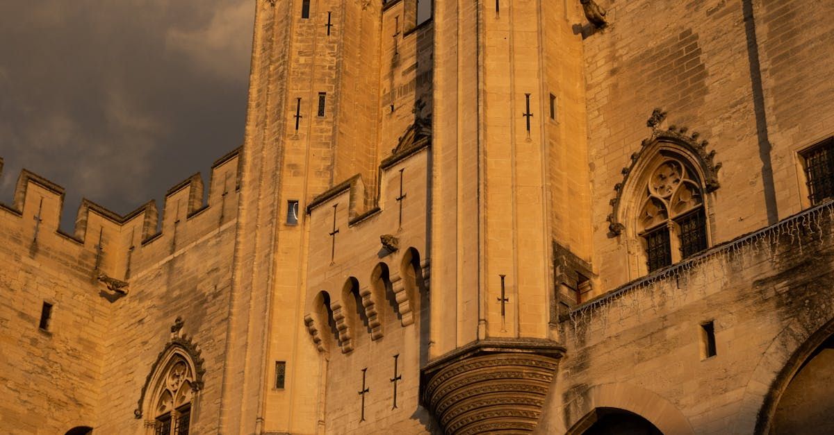 Guide rencontre cougar à Avignon