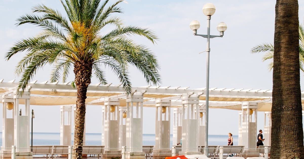 Guide rencontre cougar à Nice