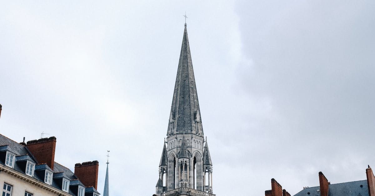 Guide rencontre cougar à Reims